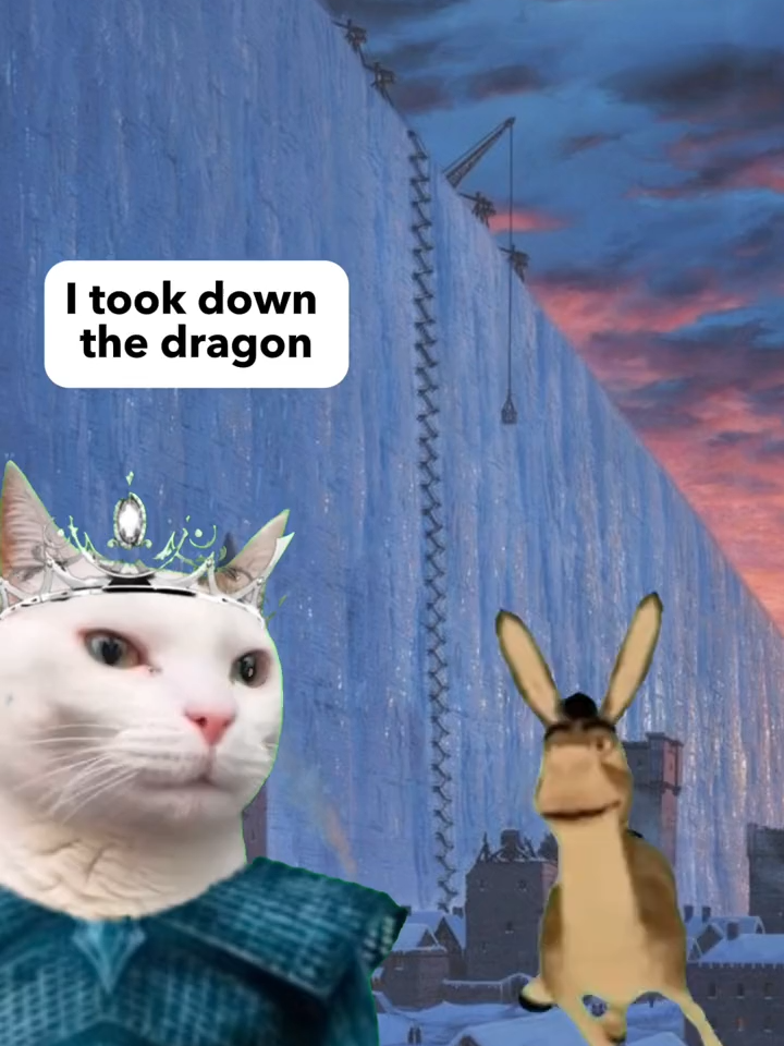 The King of the Night and the Donkey #gameofthrones #kingofthenight #dragon #jokes #catmemes #gameofthronesmeme #humor