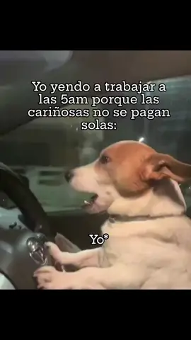 Ayy las cariñosas #alhale #trabajoduro #lascariñosas😍 #puravida #lomejordelomejor #purasabrosura #chicas #señoronas #purofuego🔥 #todoseaporlascariñosas 