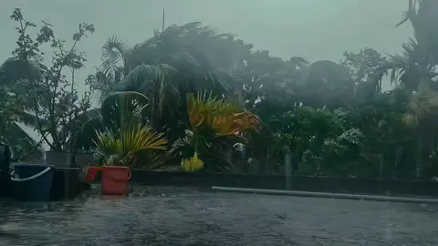 Bristi ⛈️☔ Aso Viji 🫣🖤 #siyam #cine_siyam_04 #team_of_fx #fx_siyam #cinematic #cinematography #tiktokworld #tiktokbd #foryoupage #viralvideo #banglalofisong #rainyday 