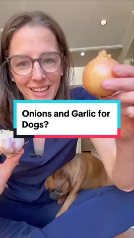 Are you team garlic or not? #naturaltickrepellent #naturaltickcontrol #vetadvice #veterinarian #vetsoftiktok #dognaturopath #animalsoftiktok #naturalheartwormprevention #isgarlictoxictodogs #fleaprevention #heartwormprevention 