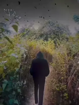 𝐬𝐮𝐤𝐡 𝐩𝐚𝐤𝐡𝐢 𝐭𝐨𝐫 𝐩𝐫𝐞𝐦𝐞 𝐦𝐨𝐧 𝐦𝐨𝐣𝐚𝐢𝐲𝐚𝐢𝐲𝐚 𝐚𝐦𝐢❥💔🤍🎧⛱️ #ra_ratul_14 #feel_this_song #kishoregonj_er_pula_14 