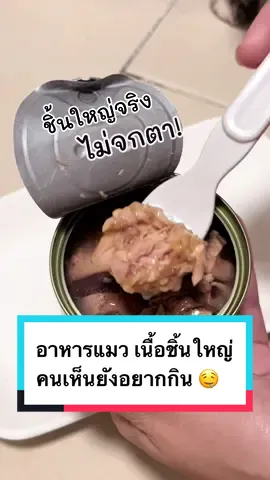 Replying to @LekJaa Ayanaputra ถึงฮาจิไม่อ้วน แต่กินดีตลอดนะคะ 🤣 แม่ซื้อให้กินทุกอย่าง ขอแค่ฮาจิชอบ พร้อมเปย์ 555555 😘💸 #อาหารแมว #อาหารเปียก #FelinaCanino #เฟลินาคานิโน #Realmeatpremiumcat #เนื้อแท้ๆอร่อยแน่เต็มชิ้น #อาหารเปียกแมว #summerfestival
