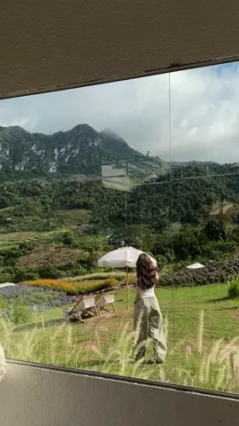 Mộc châu mà cứ ngỡ Đà lạt🫶🏻
