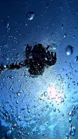 let me solder 🖐️👸 #diving #wanbowonderfulworld #gopro11 #recommend #mermaid #freediving #underwater #subscription #live #beach #fish #farsha #sharm #egypt #YouTube #submarine 