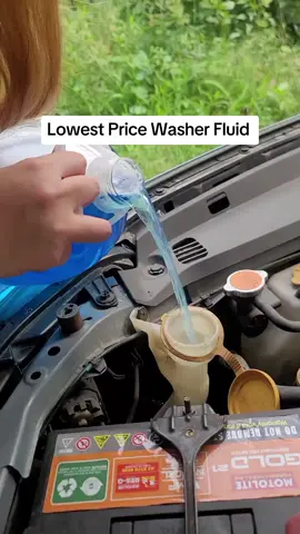 Who says quality has to break the bank? Try our DIY windshield washer fluid recipe and save big! #FrugalLiving #DIYCarCare#GlassCleaner #carglowlab #tiktokshopfunpayday 