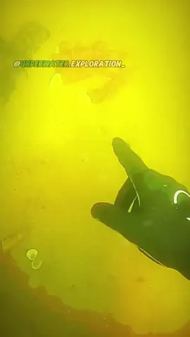 #underwaterexploration #treasure #treasurehunt #tiktokusa #fyp