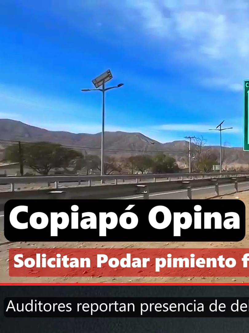 Auditores reportan presencia de delincuente en las inmediaciones #seguridad #copiapo #robos #delincuendia