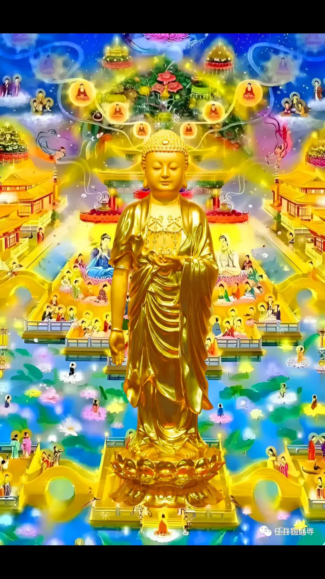 🙏🙏🙏 A DI ĐÀ PHẬT 🙏🙏🙏 https://pin.it/6zb5DwVha https://ph.tinhtong.vn/Home/Docs