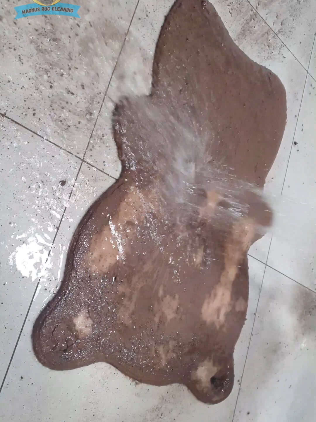 Dirty bear bath! Rug washing ASMR rug cleaning #carpetcleaning #satisfyingvideo