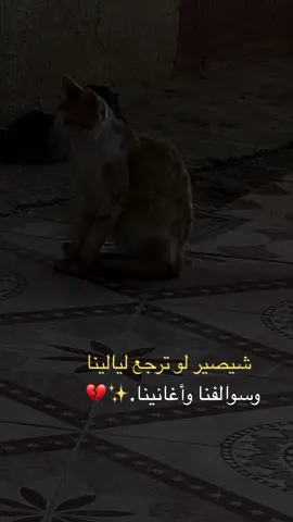 #عباراتكم💔💔؟ 