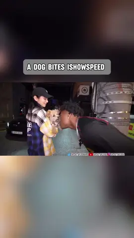 A dog bites ishowspeed in south korea #ishowspeed #southkorea #dog 
