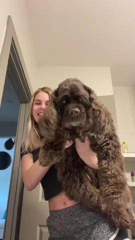 The love i have for this dog