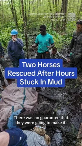 This wasn’t your usual call for the volunteer fire department in Lebanon, Connecticut. #TheWeatherChannel #fyp #mud #horse #rescue #Connecticut #weatherchannel #pov #caughtoncamera #animals 