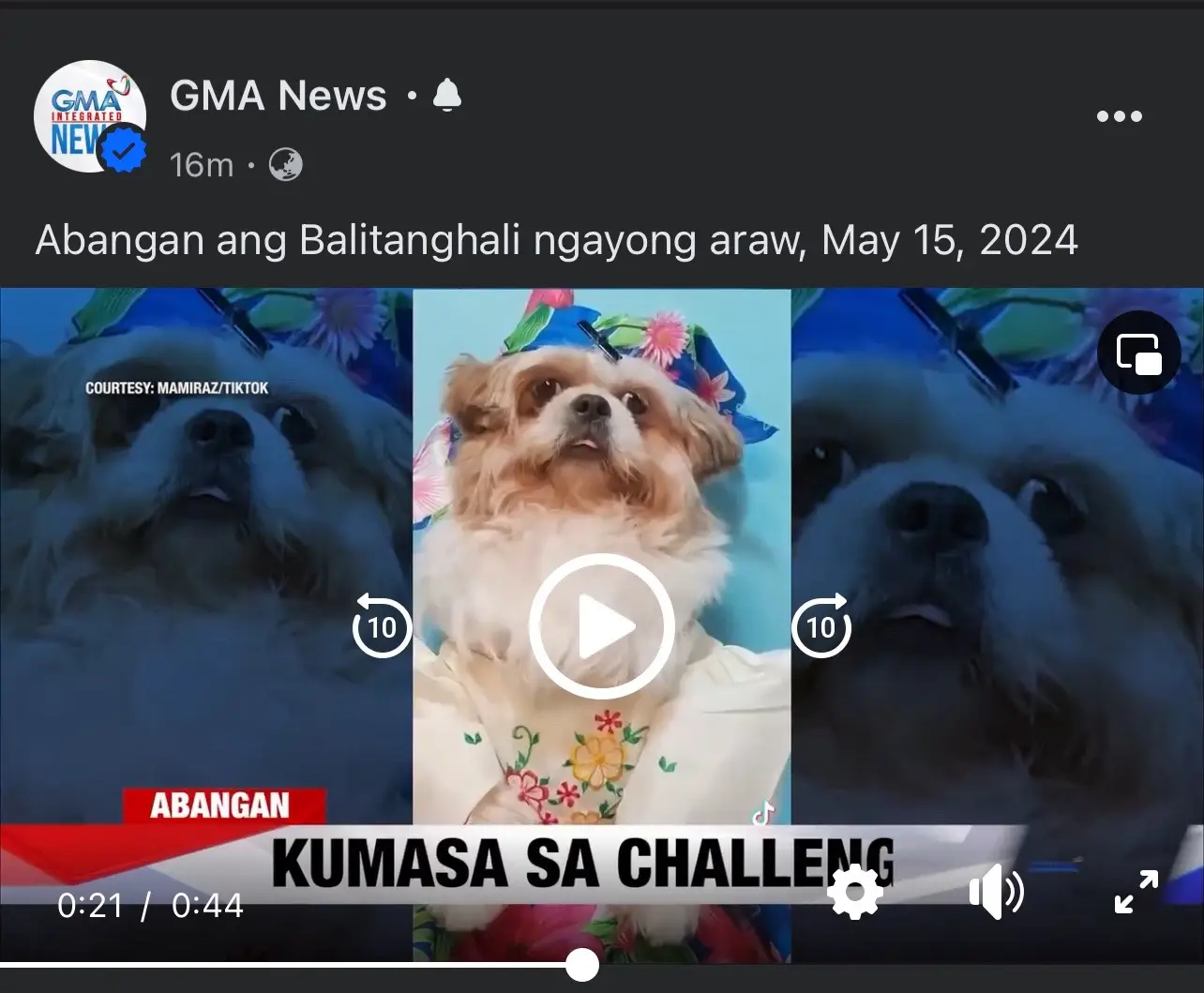 Anung fav costume nyo dito  iba’t-ibang KULTURANG PINOY ❤️🐶 @GMA News balintanghali!  #asongadiksapandesal #PandaPandesal #pandapandesalfamily ##pandaserye🐼 #pilipinas 