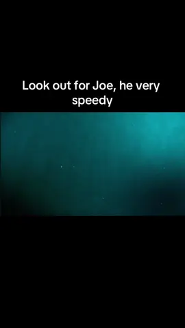 Joe loves music yes yes #fypp #fyp #fypシ #shark #sharksoftiktok #sharkvideo #funny #jumpscare #shork #sharkie 