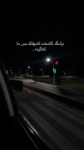 بيت شعر ميروح من بالك ؟ #عدستي #كانون #تصويري #عامرية_الصمود #الانبار #اكـسـبـلـو‎ࢪ 