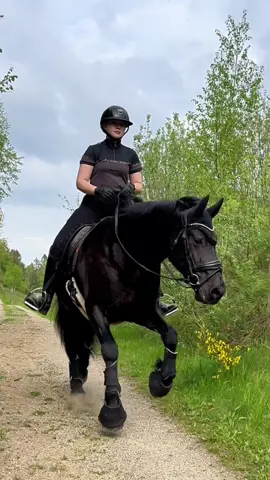 Wic favorite move😂 #wmequestrian #horses #equestrianvibes #equestrianlife #equestriangirl #horsegirl #blackhorse #cavalerosdenmark #funnyhorse  | AD | Riders outfit is from @Cavaleros Denmark 