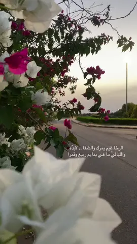‏الرخا غيم يمرك والشقا .. لابدّه ‏واللياليّ ما هي بدايم ربيعٍ وقمرا  ‏- عبدالله العير رحمه الله