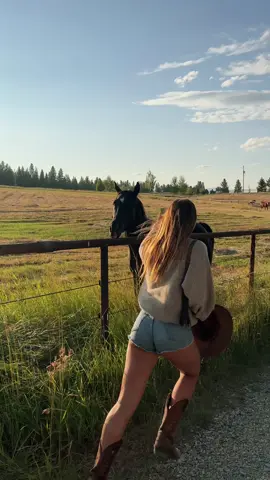western america >>>> contact me on ig : horseywanderlust if you have questions 🫶🏻 #ranch #usa #equestrian #horse #western #cowboy #Summer #dream #animal #montana 