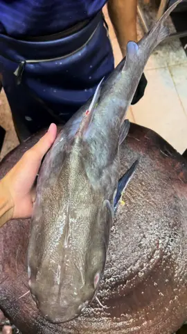 dah pernah makan? msak apa yg pling surrrr ? habaq satt😜