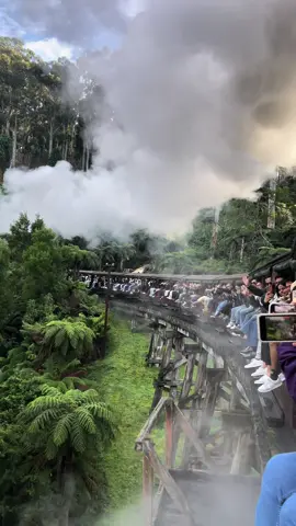 📍Puffing Billy, Belgrave  #train #australia #rainforest #travel #fyp #traveltiktok #thingstodo #melbourne #puffingbilly #puffingbillymelbourne #backpacking 