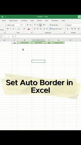 Set Auto Border in Excel #excel #exceltips #exceltricks #