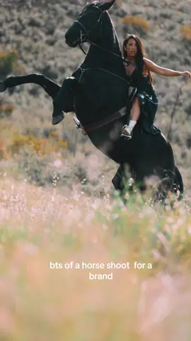 first time getting horse-y with @Lanybiird @Horses for productions 🥹 but definitely not the last ❤️ #horsesoftiktok #horsetok #horsegirl #horseshoot📸 #fyp #foryou #stunthorse #stuntrider #trickhorse #trickrider 