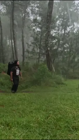 relaxing rain in solo camping  #camping  #solocamping  #campingvibes  #rain  #Outdoors 