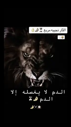 #الدم_لايغسله_إلا_الدم #🤌🏻#صبرا_جميلا_والله_المستعان #دمنا_في_حفظ_الله_ورعايته #משבחת_חרירי #🦁 #حفظكم_الله_ورعاكم #סונו_חרירי #الله_يحفظك #🦁 #❤️ 