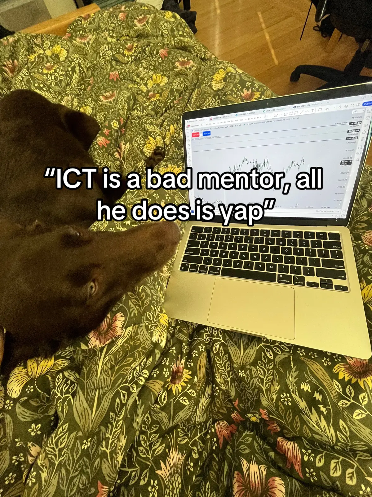 Sad to see these kids with a 2 second attention span miss out on history being made. ICT out here changing family trees💯 #ict #forex #trading #forextrading #innercircletrader 