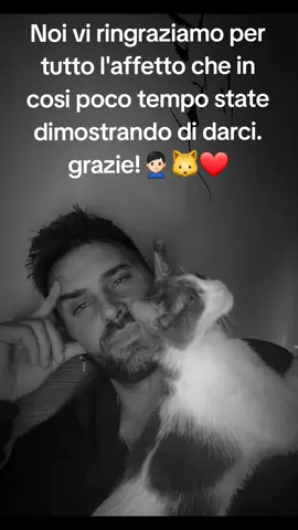 Una 20na di giorni fa,una pagina aperta per gioco...Grazie di cuore per tutto..🙎🏻‍♂️🐱❤️ #lovecats #inseparables 