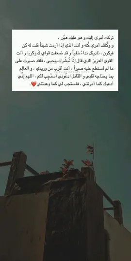 #أذكروه_الله💚🔔  .  .  .  #عبارات_تشرح_ما_في_داخلك💬🤎  #InspirationByWords #أناشيد_أسلامية  #ستوريات_انستا #عبارات  #اكسبلور #متابعة #اعادة_النشر🔃 