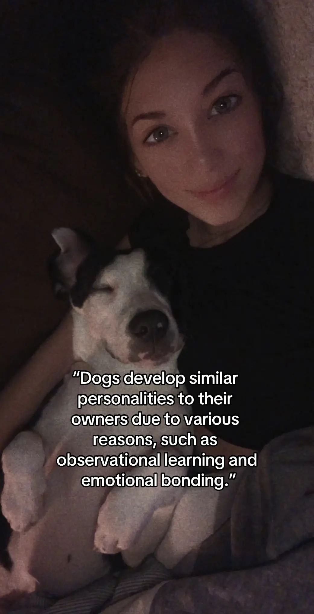 The adopted apple doesn’t fall far from the tree  - #dogsoftiktok #conspiracy #conspiracytherory #angry #dogmom #personality #ugly #weird #sus #suspense #bugs #funnydog #bugeye #creepy #chickens #chickensoftiktok #fyp #fypage #puppies #pup #dogs #dog #funnymoments #funnyvideos #humor #justkidding #itsajoke #viral #dogvideos #petparent #doggo #pitbullsoftiktok #pittiesoftiktok 