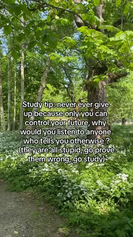 Five weeks post surgery study xx            #law #motivation #studytok #studywithme #study #lawstudent #romanticiseyourlife #uni #school #fypp 
