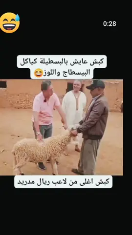 @مغريبة❤️🤩 