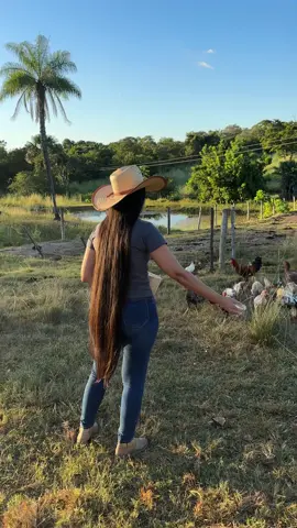 Tratando das galinhas 🐓  . #galinhas #galinhascaipiras #milho #roça #fazenda #tardezinha #pordosol #mulher #mulherdechapeu #chapeu #botina #natureza #animais #agua #arvores #somdanatureza #lugarlindo #galo #verde #cabelolongo #cabelogrande 