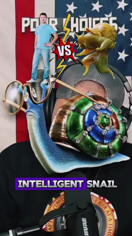 🐌 SNAIL VS YOU FOR $1 MILLION! WHATS YOUR PLAN!? #funny #hideandseek #snail #1million #survival 