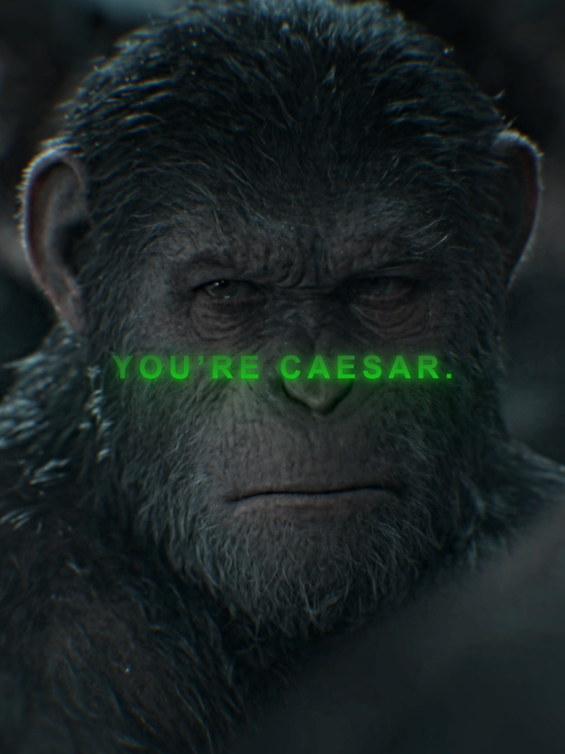 caesars aura is unmatched | #caesar #koba #planetoftheapes #kingdomoftheplanetoftheapes #edit #viral #fypツ #aftereffects