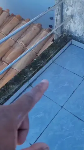 #dica #pingadera #revestimento #acabamento #obras 