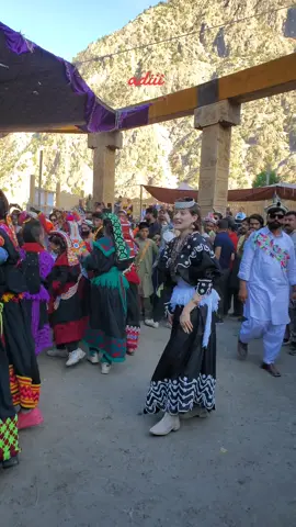 spring Festival zoshi 2024#adiiichitrali #foryou #viral_video_tiktok #froupage #froyoupage #welcometochitraltochitral  full video check our YouTube channel ❤ 