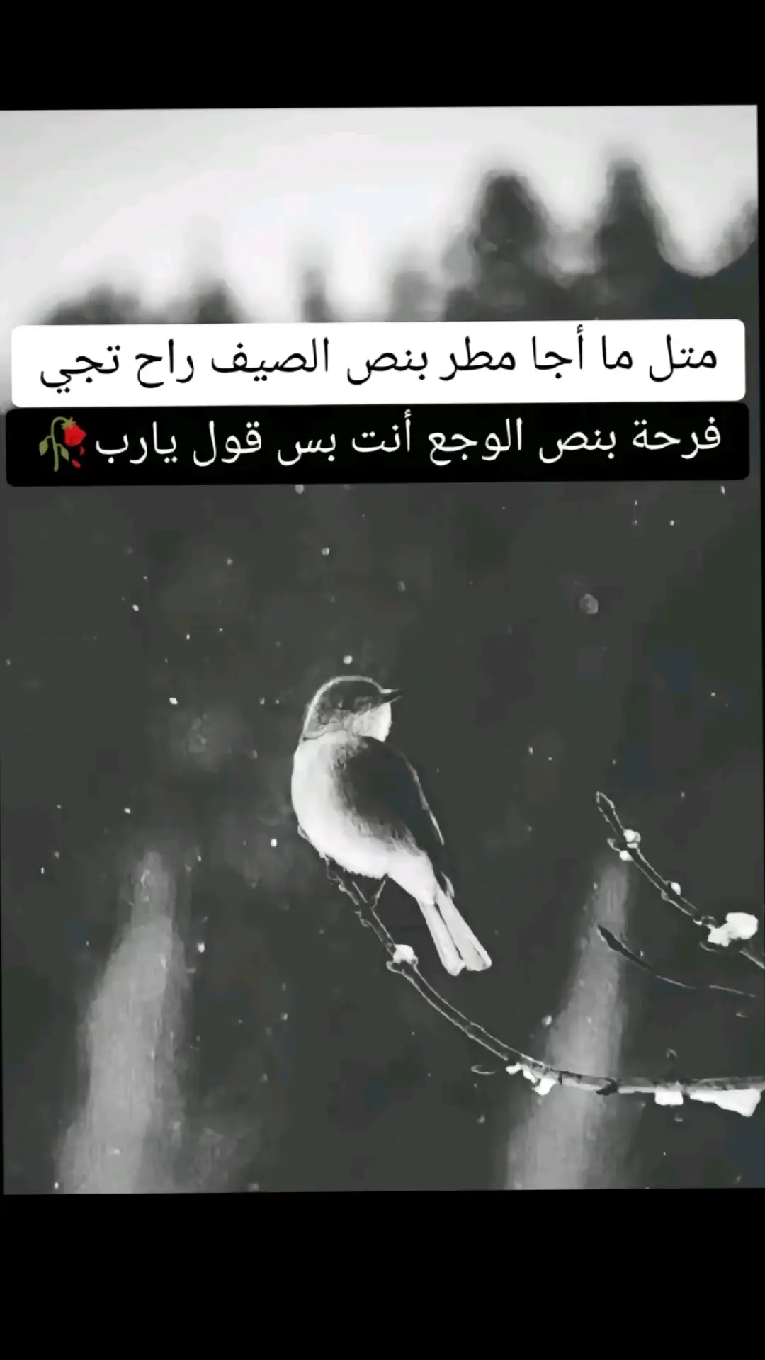 ۆ̷ي̷ن̷گ̷م̷ ٵ̷ ي̷م̷ت̷ ت̷ح̷ۆ̷ن̷ي̷ #😞💔🥀 