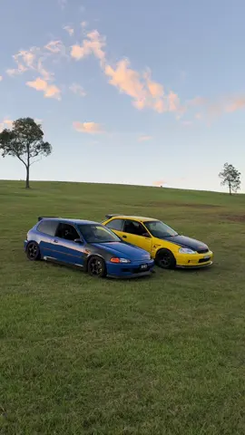 which is the better lawnmower  #honda#civic#fyp#jdm#carsoftiktok 