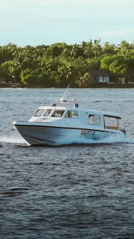 Introducing the newest edition to our fleet of speedboats, the CETACEA #fyp #speedboats #speedboat #maldives #gulfcraft #garmin #boatshow #fypシ゚viral #trending #trendingvideo #tiktok #paradise #maafushi #sea #viral #travel #tiktoklover #foryou 