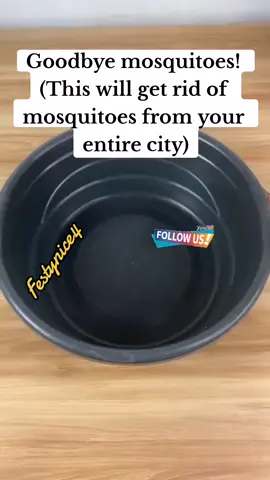 Goodbye mosquitoes! (This will get rid of mosquitoes from your entire city)#homemade #Recipe #trendingvideo #tiktokviralvideo #viralvideo #fypシ゚viral #fyp #foryou #foryoupage #fypppppppppppppp #festynice4 