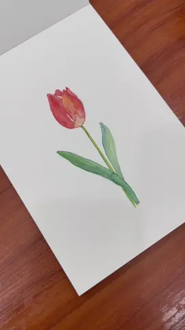 Tulip 🌷#watercolorpainting #watercolor #tulip #painting 