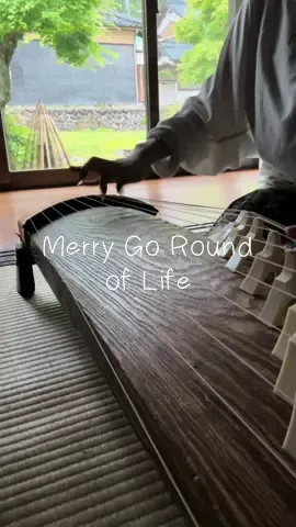 #merrygoroundoflife #howlsmovingcastle #箏 #koto #和楽器 #japaneseinstrument 