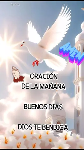 oración de la mañana #oracionespoderosas #oraciondelamañana🙏 #oraciondelamañana #oracion #oracionparati #biblia #jesus #Dios #fe #tiktok 