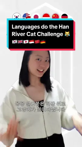First challenge done by languages!! 😹 For those unfamiliar with the trend, it came from (I think) a Korean news report about a cat walking on the frozen Han river. As social media goes, people made a remix out of the narration and the “dance” became a social media challenge, which a lot of Kpop idols also joined. I had a lot of fun doing this vid 🤣 and thank you to my friends for helping with the Japanese and Chinese translations lol 🫶 #languages #korean #english #japanese #indonesian #chinese #german 