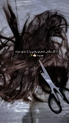بدايه جديده 