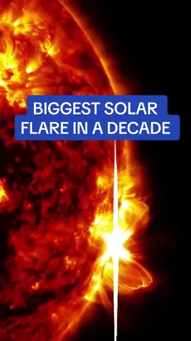 NASA released some mesmerising images of last weeks X8.7 flare, which was the largest in the sun's current 11-year solar cycle.  🎥X/ NASASun  #space #sciance #nasa #sun #news 